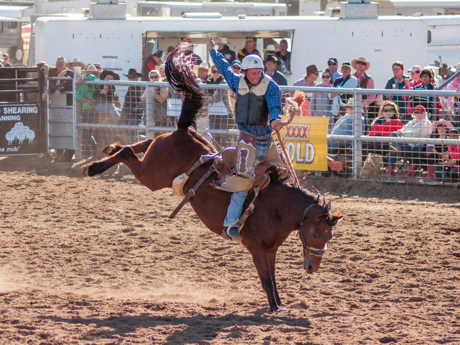 クーナンブル・ロデオとキャンプドラフト