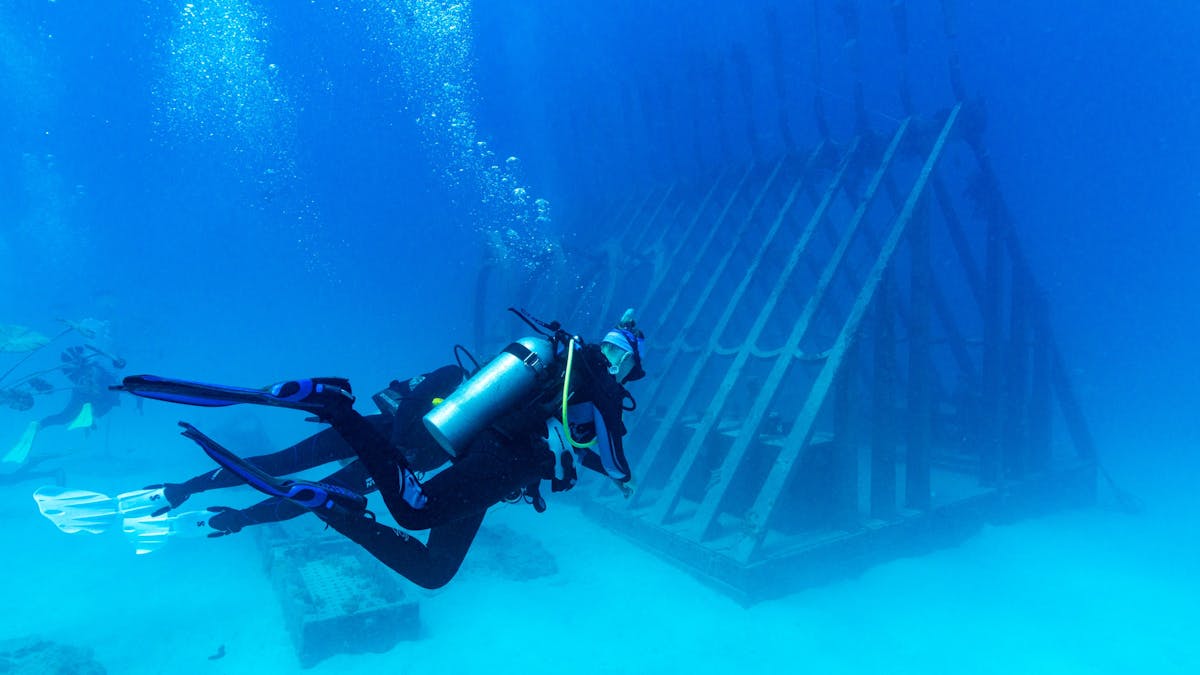 Two divers exploring the Coral Greenhouse.