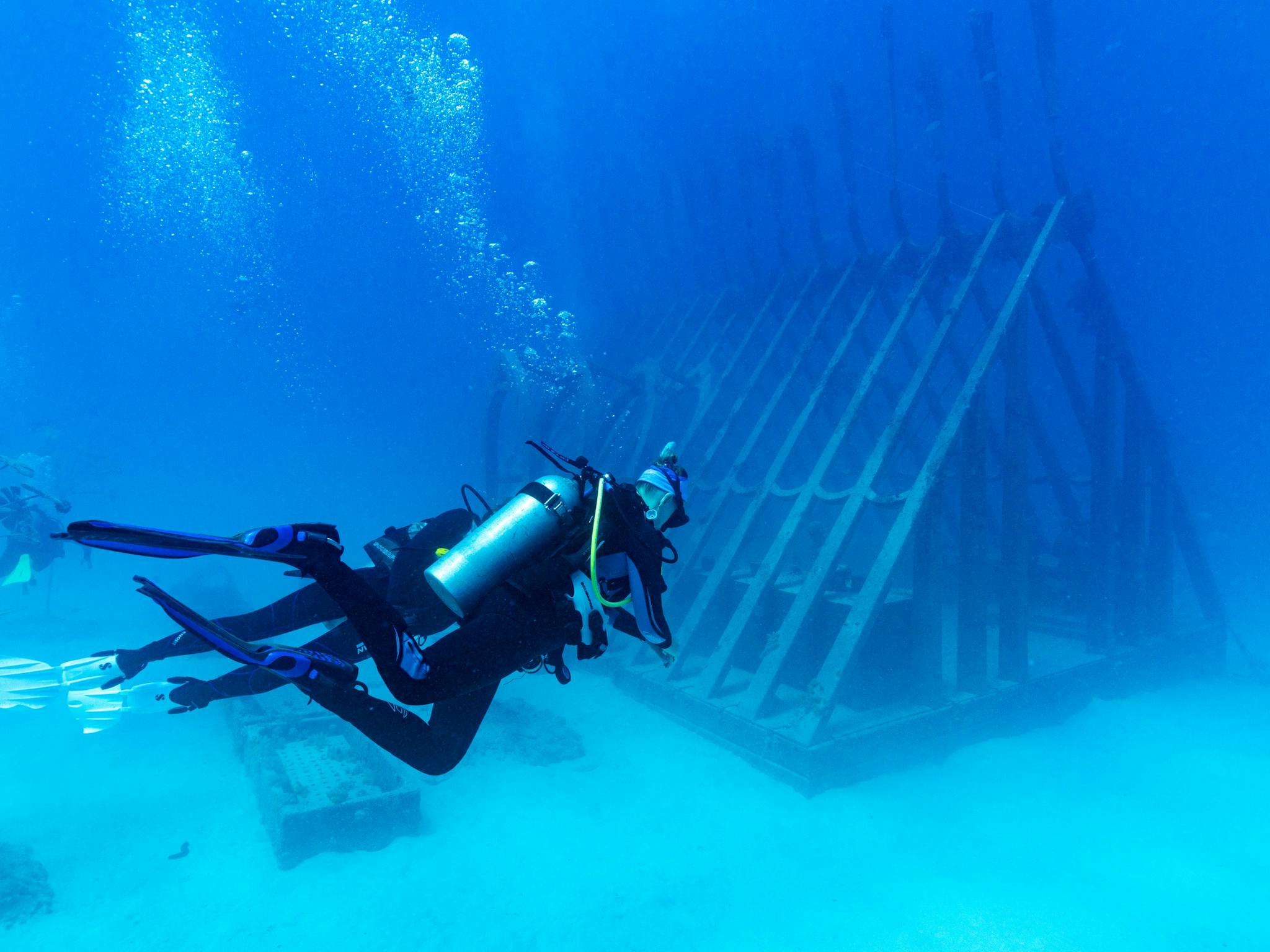 Two divers exploring the Coral Greenhouse.