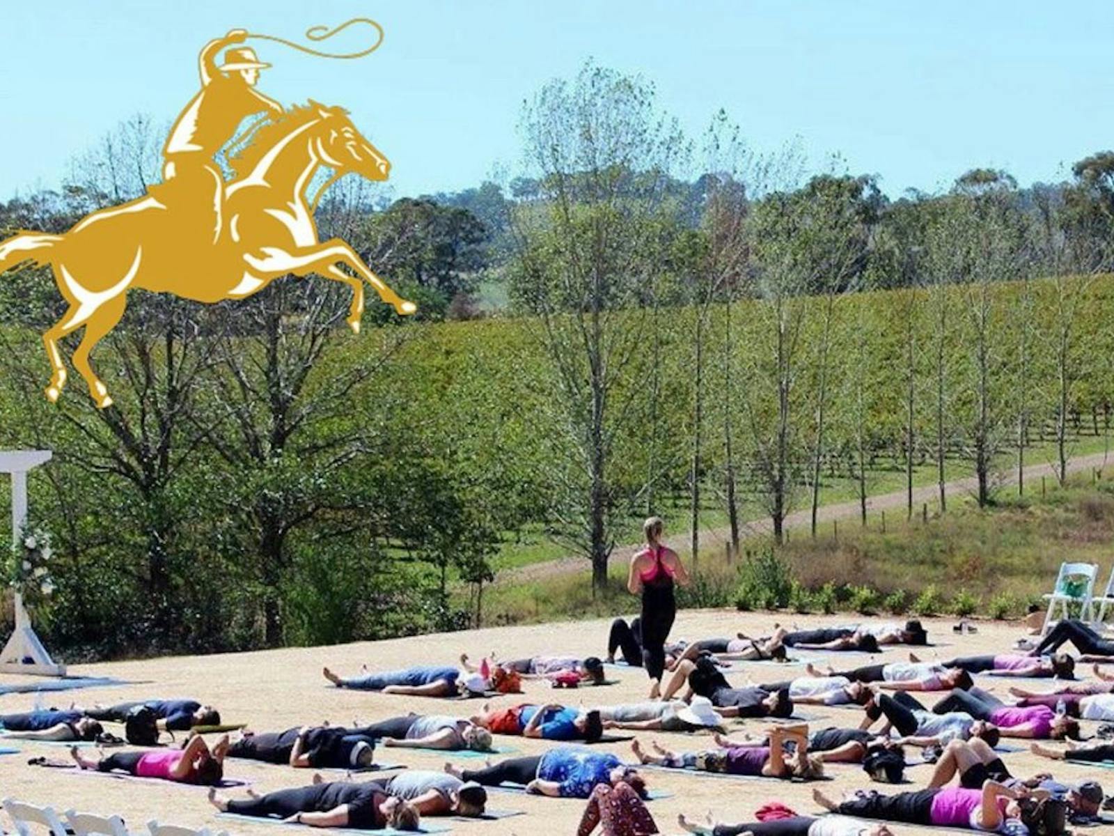 Image for Yoga in the Vines