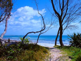 Idyllic approach to Iluka’s Shark Bay.