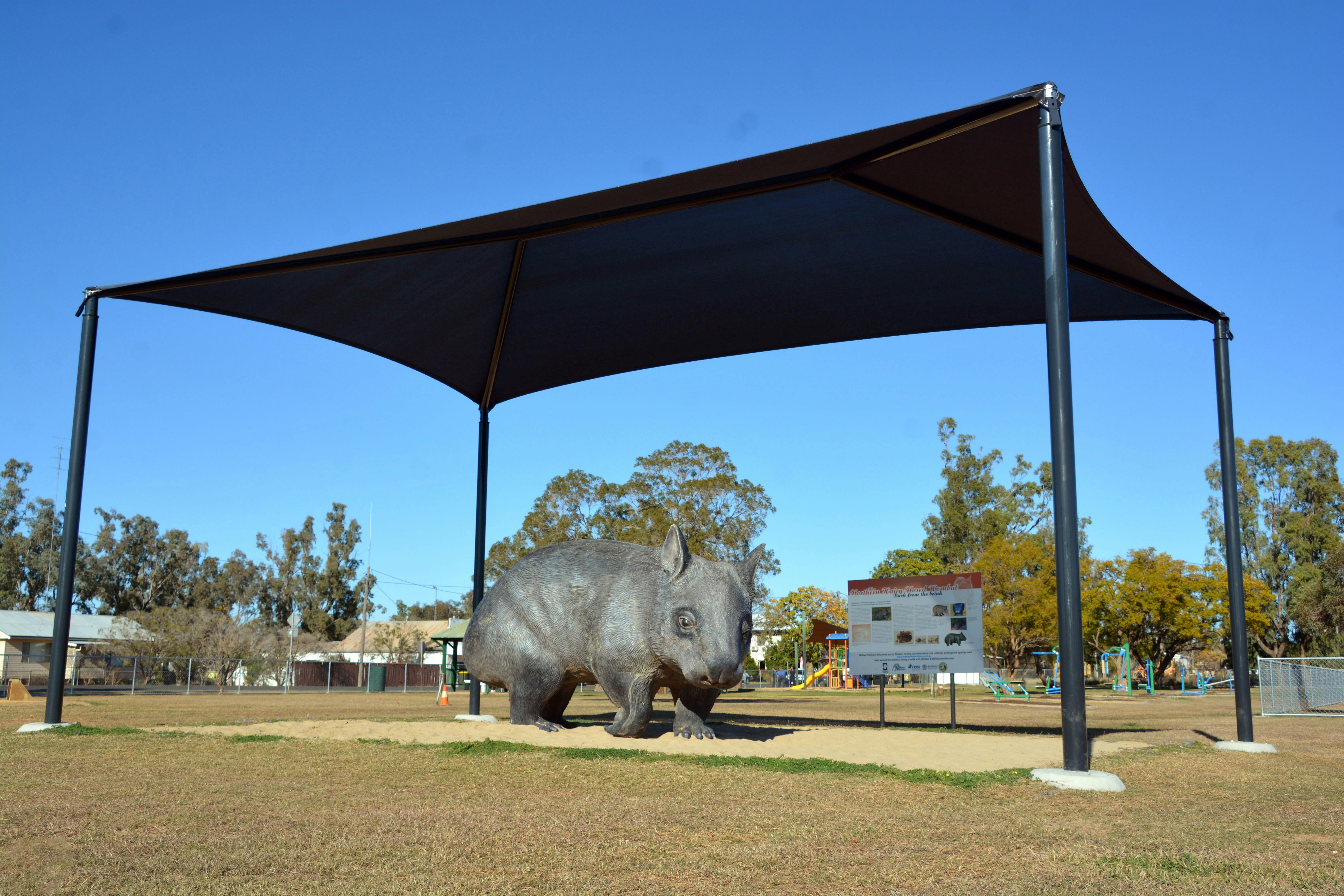 wombat