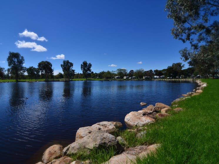 junee tourist park junee nsw