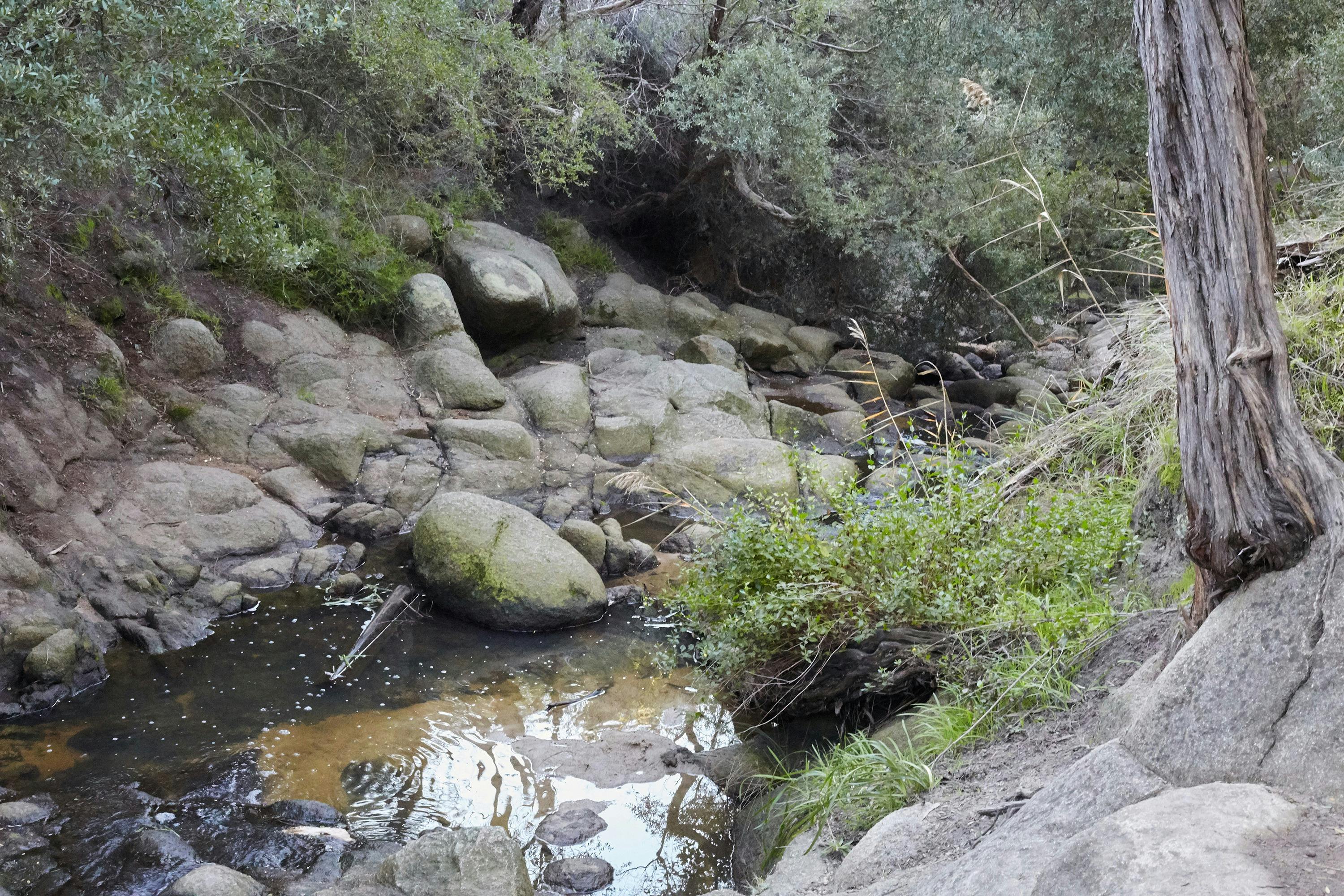 Sweetwater Creek