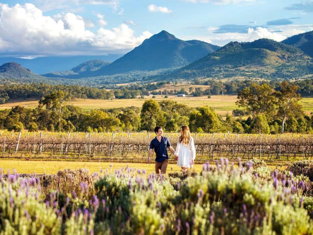 A couple walk through a lavender field with mountains behind