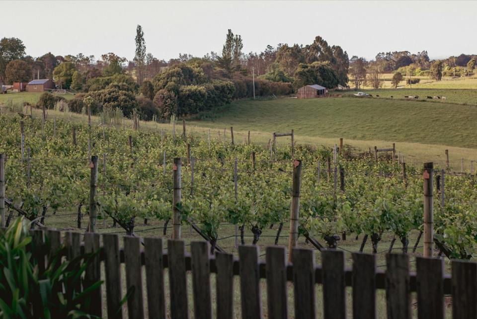 House of Hargrave photo