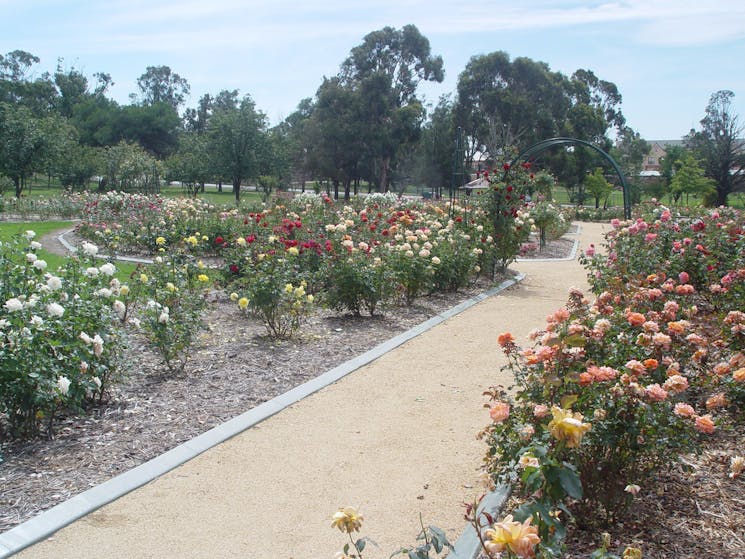 Victoria Park Rose Garden