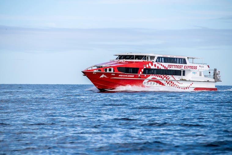 Rottnest Discovery