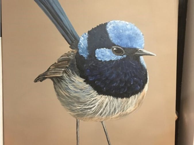 Cindy Cross Feathers Fur Fins