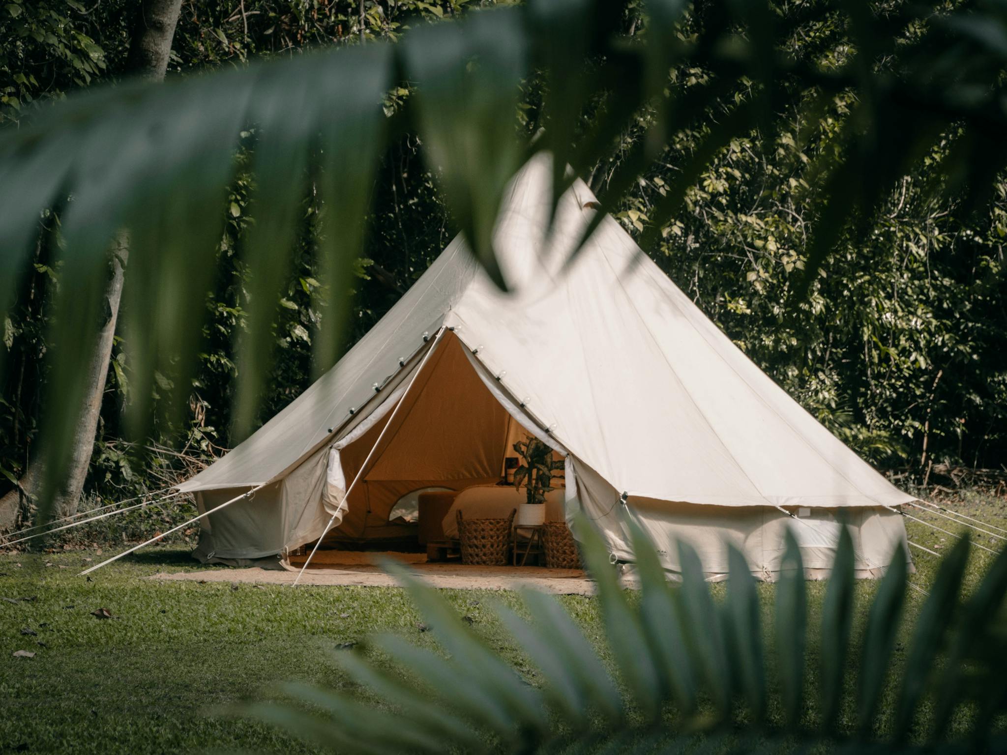 Cameron's Pocket Glamping Location Cameron's Pocket Glamping Location