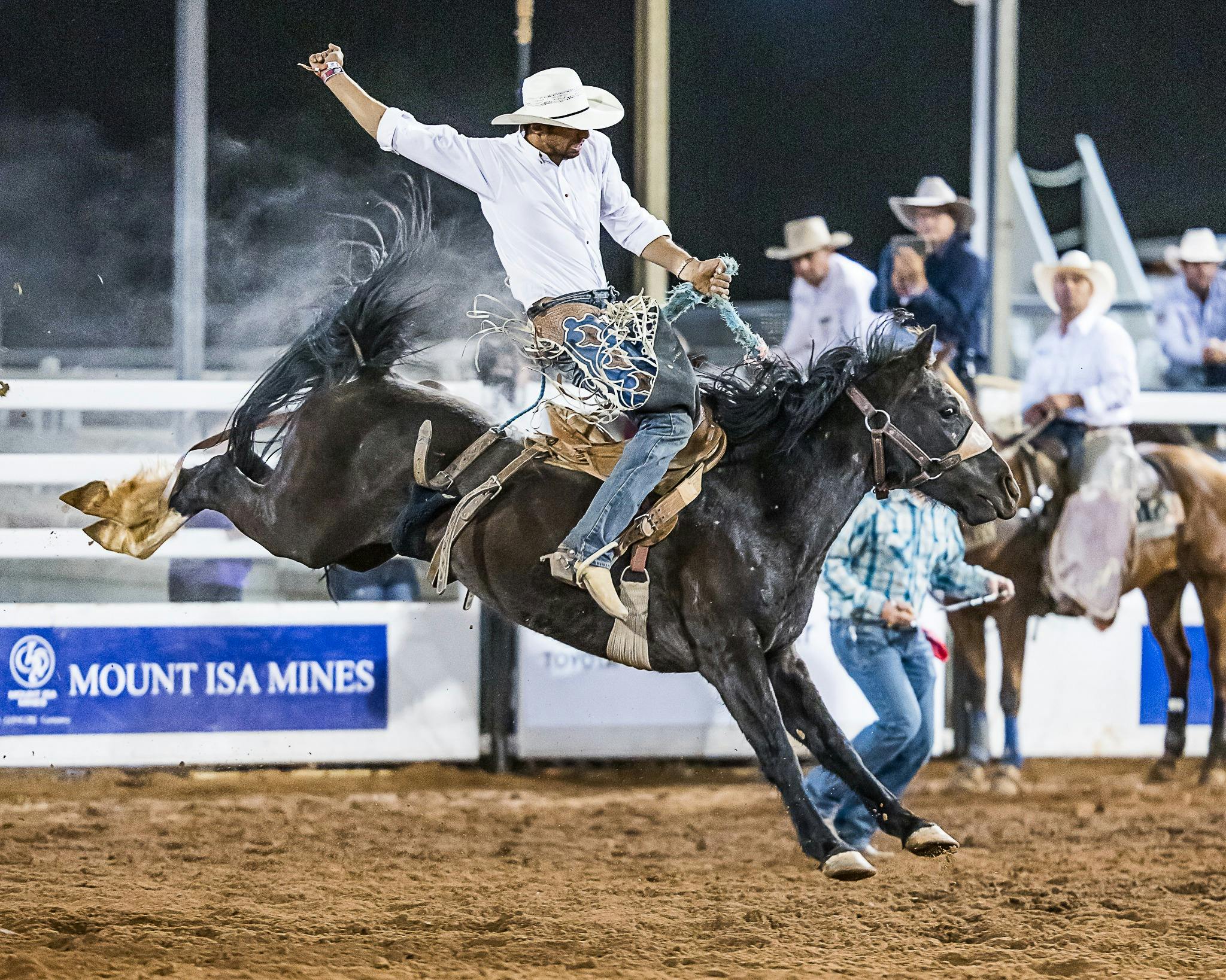 Mount Isa Rodeo Cowboy