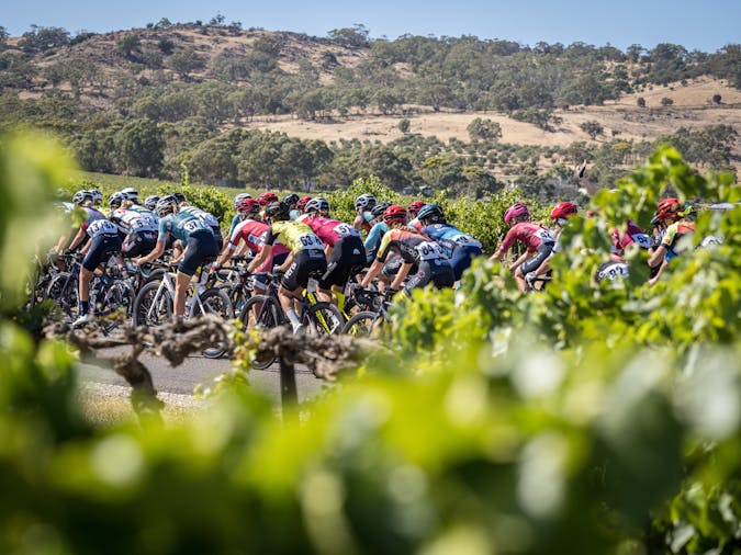 Santos Festival of Cycling: Westpac Women's Stage 2