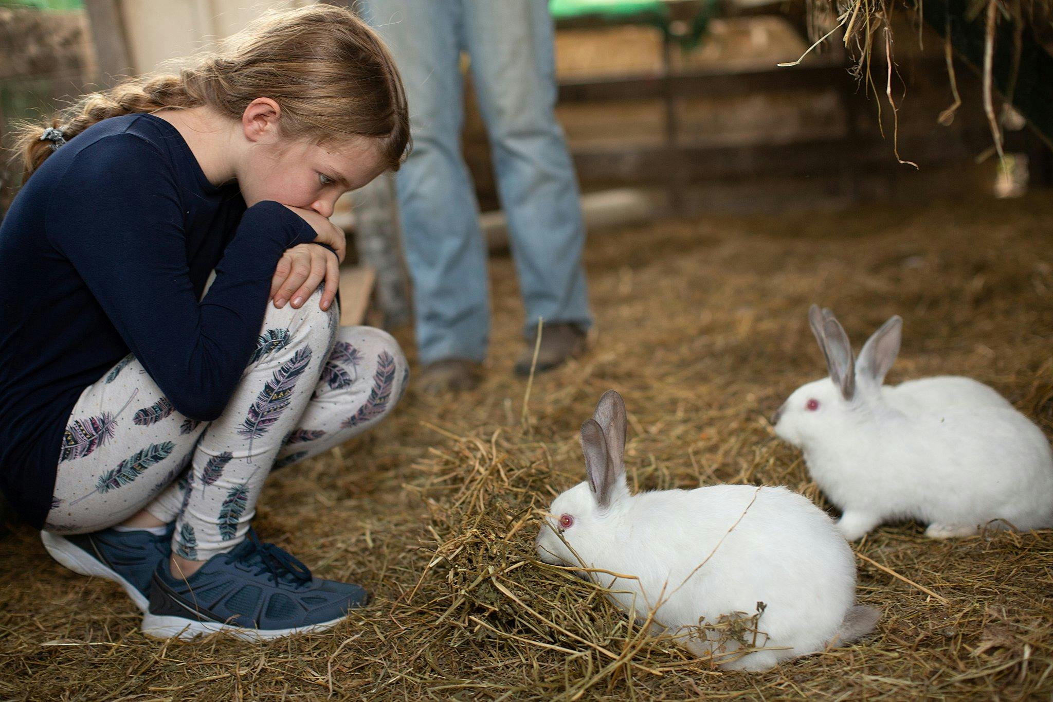 Nature's Echo Farm - Farm Tour with Animals