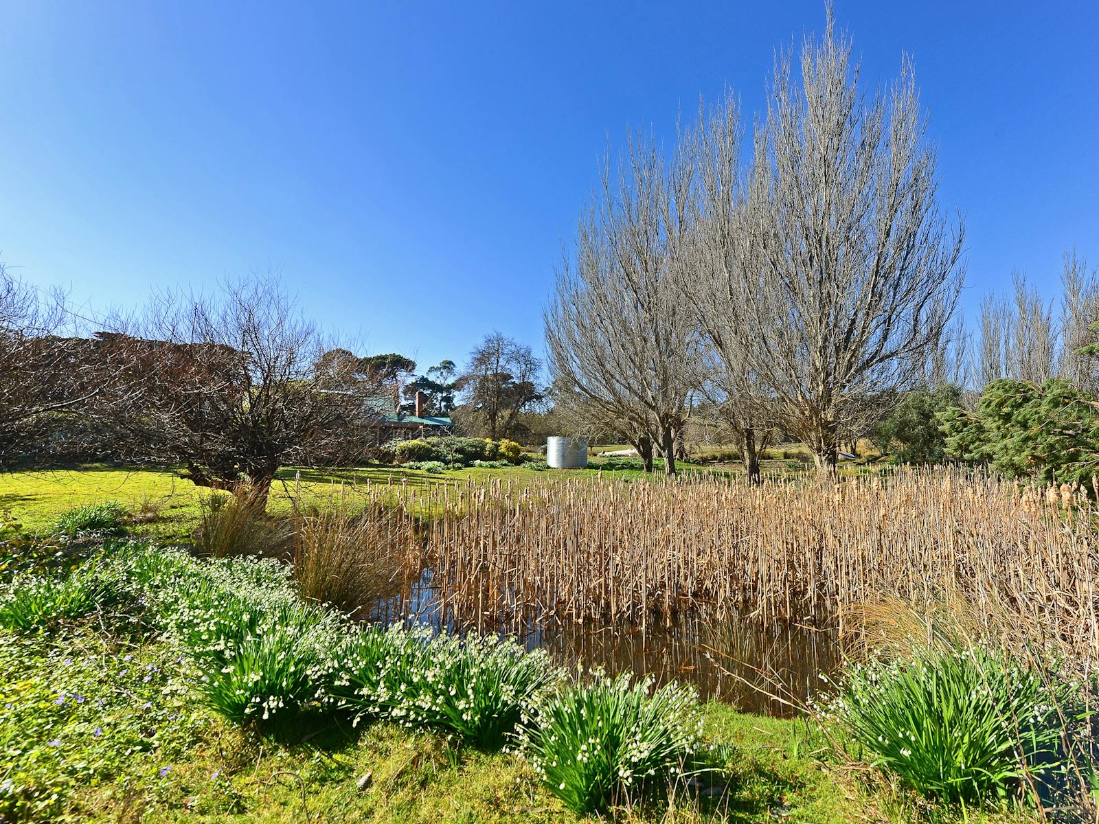 Ventnor Guest House garden and dam
