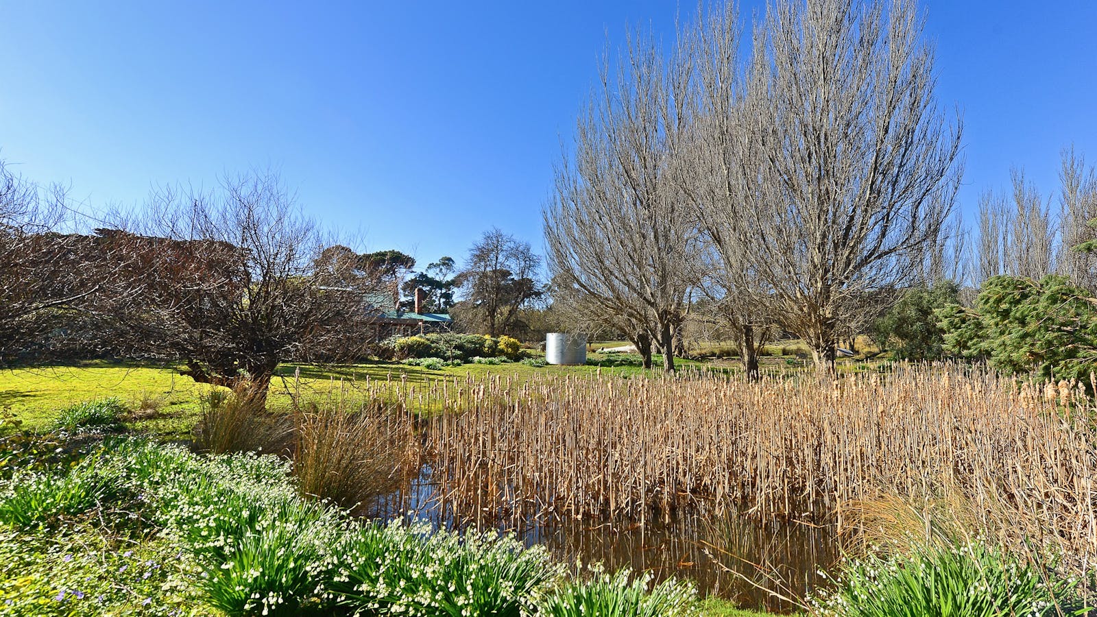 Ventnor Guest House, garden and dam