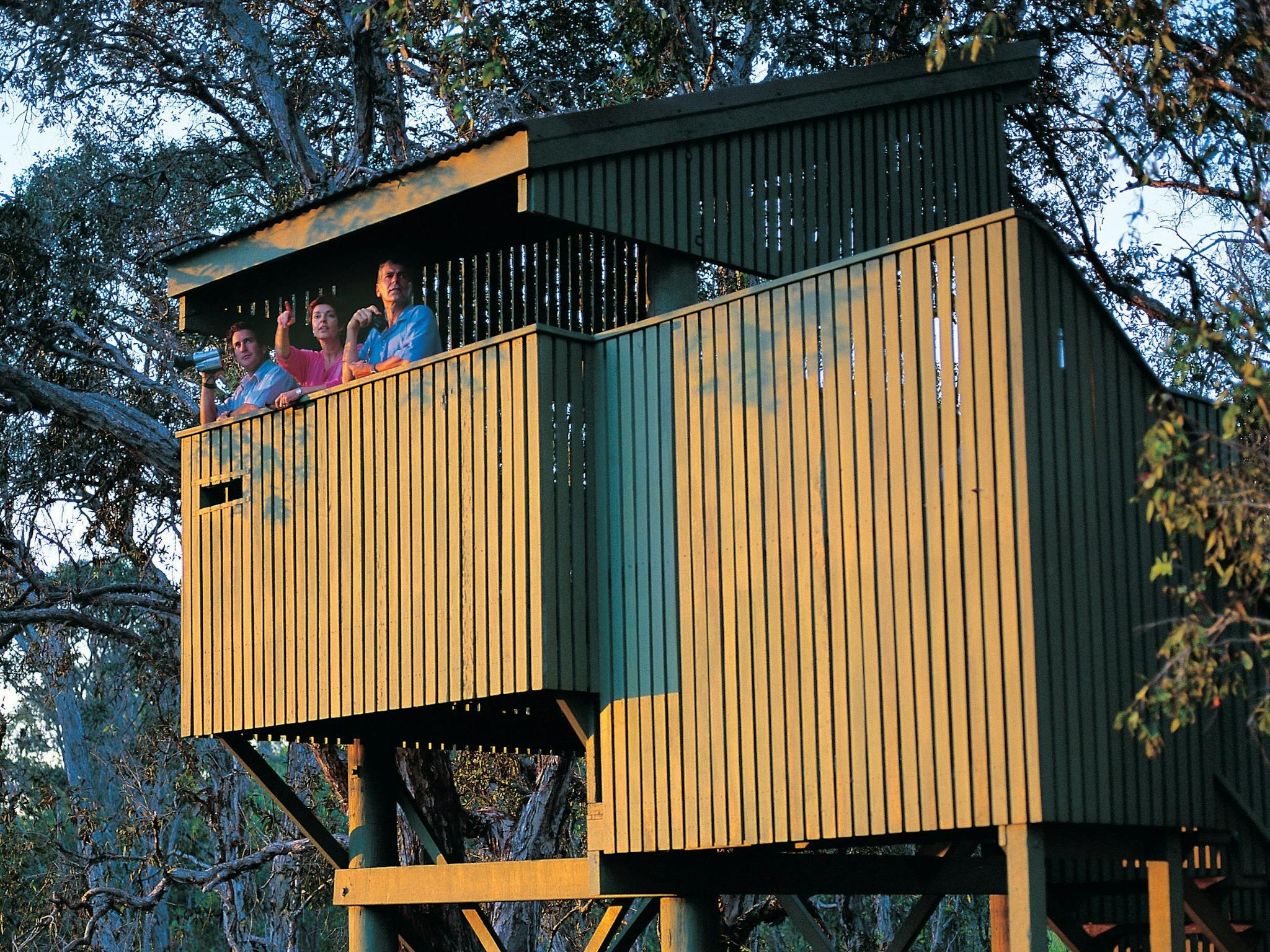 People in bird hide.