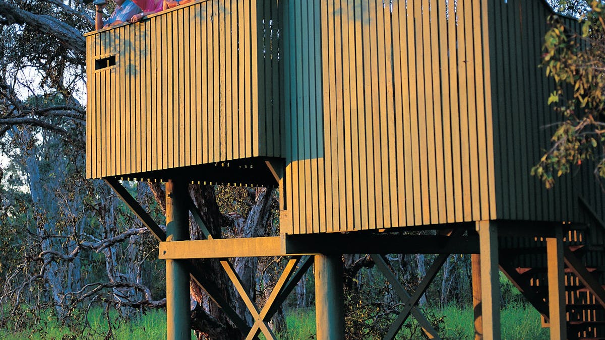 People in bird hide.
