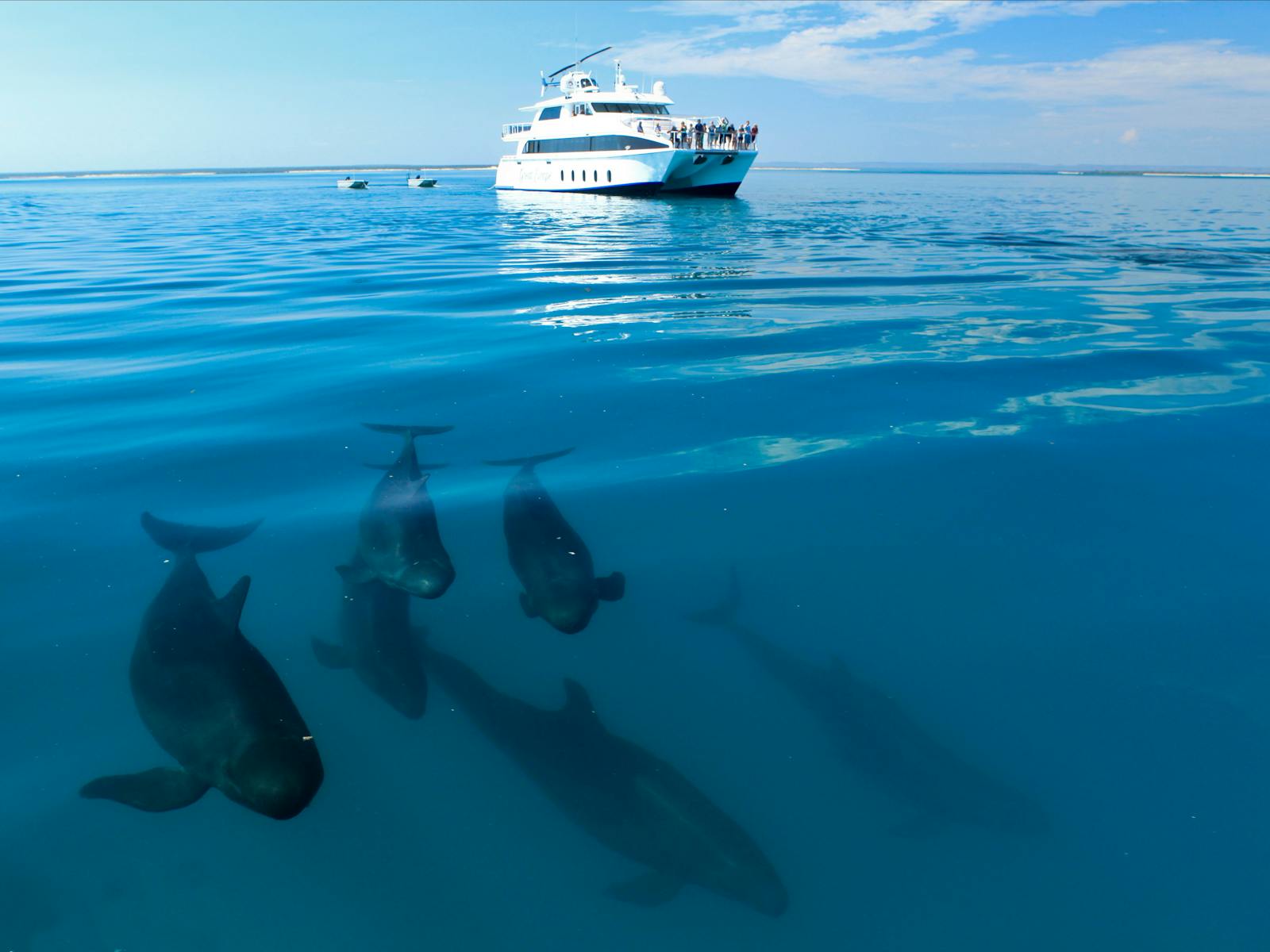 The Great Escape Charter Company