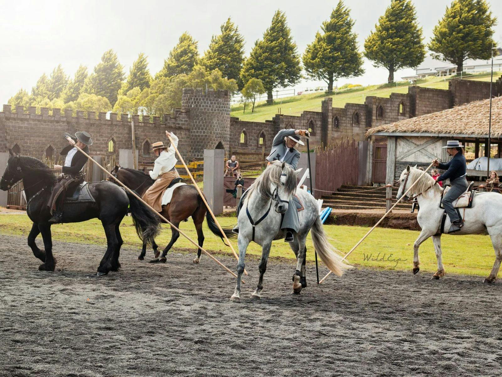 Baroque Horse Festival