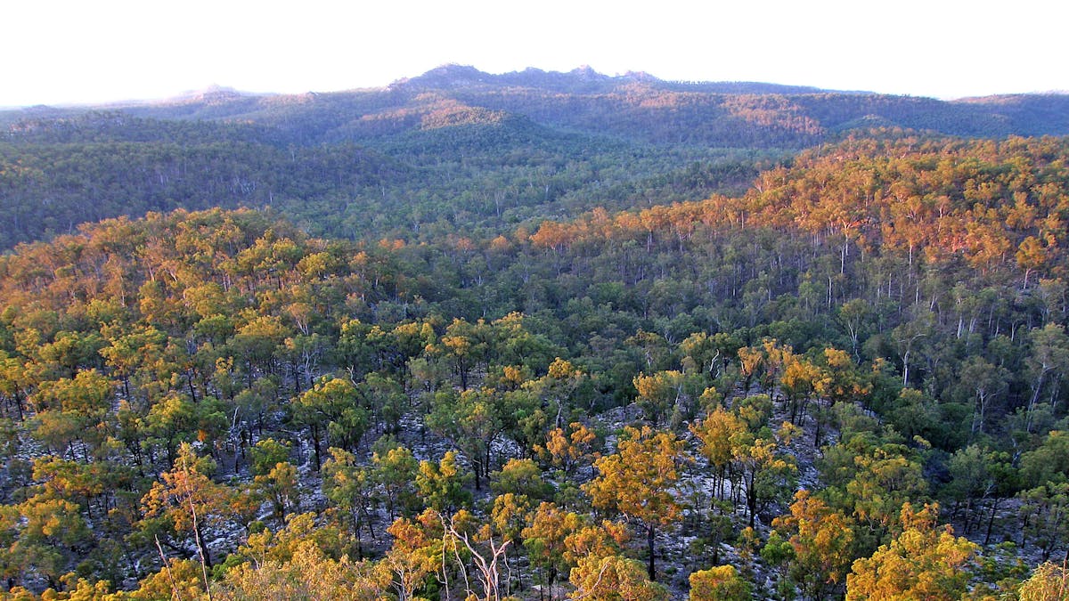 Elevated views over forested hills, valleys and peaks.
