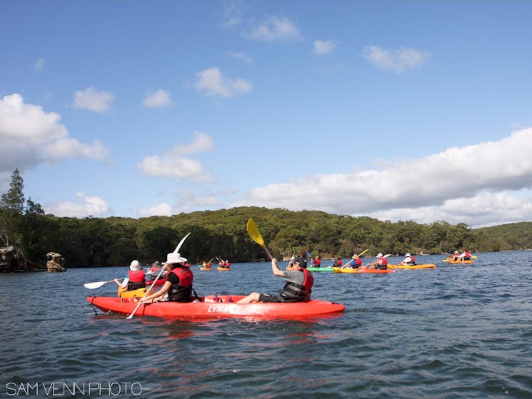 Bundeena Kayaks Guided Kayak Tours and Hire Sydney, Australia