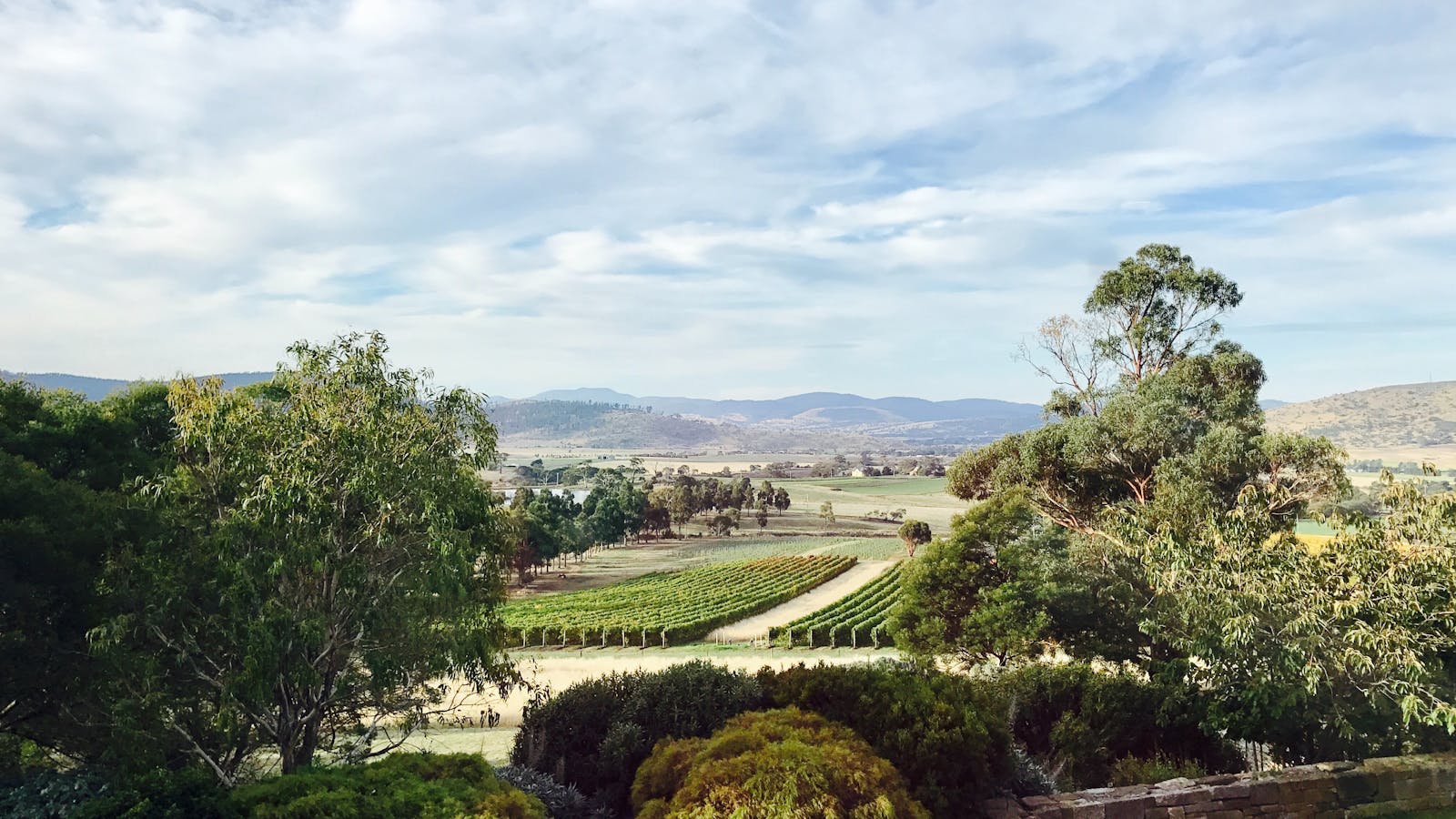 Valley Views