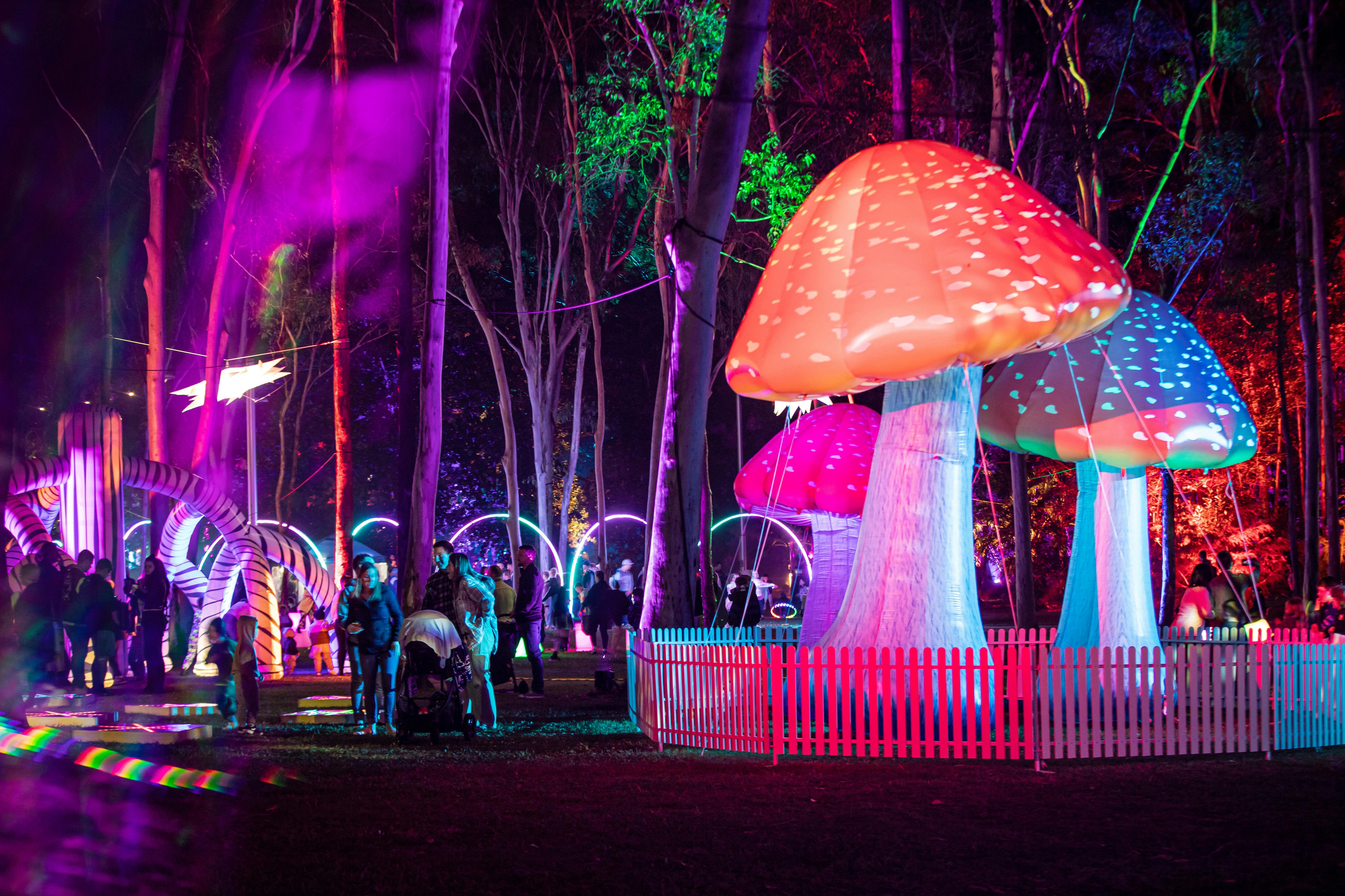 Luminous Mushrooms