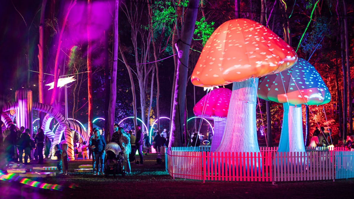 Glowing Mushrooms in the Gardens during the night
