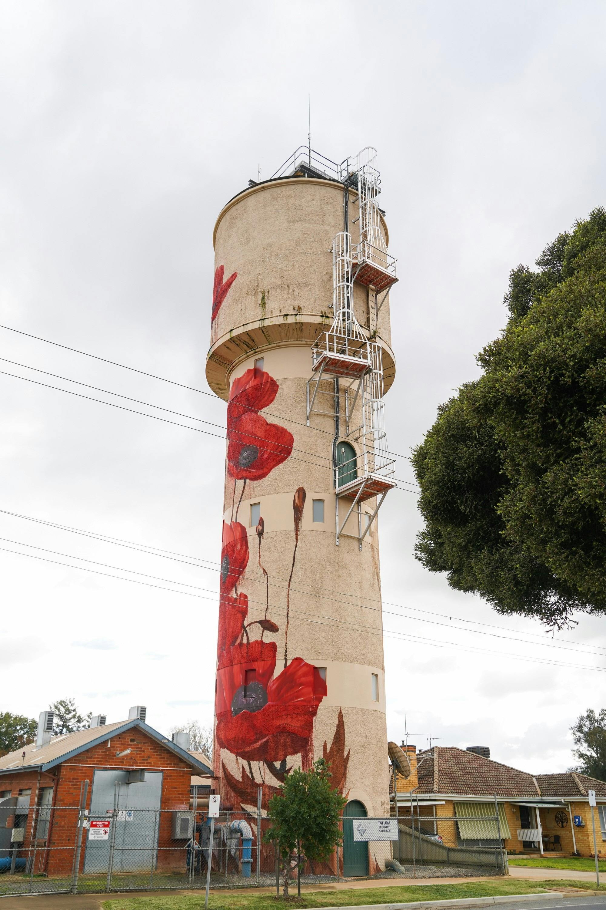 Tatura Water Tower Art Poppies