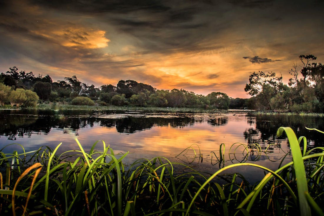 Lake McIntyre Millicent, Attraction South Australia