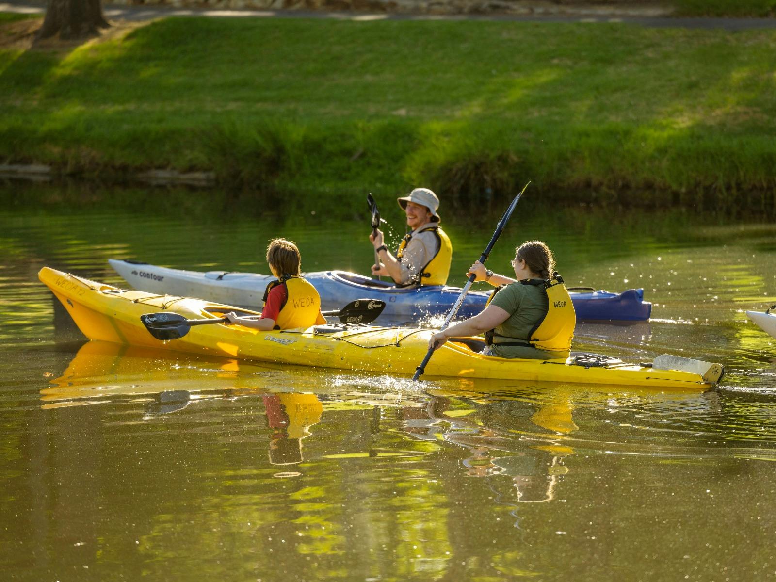 Mighty Yowie's Adelaide City Kayak Tour - School Holiday