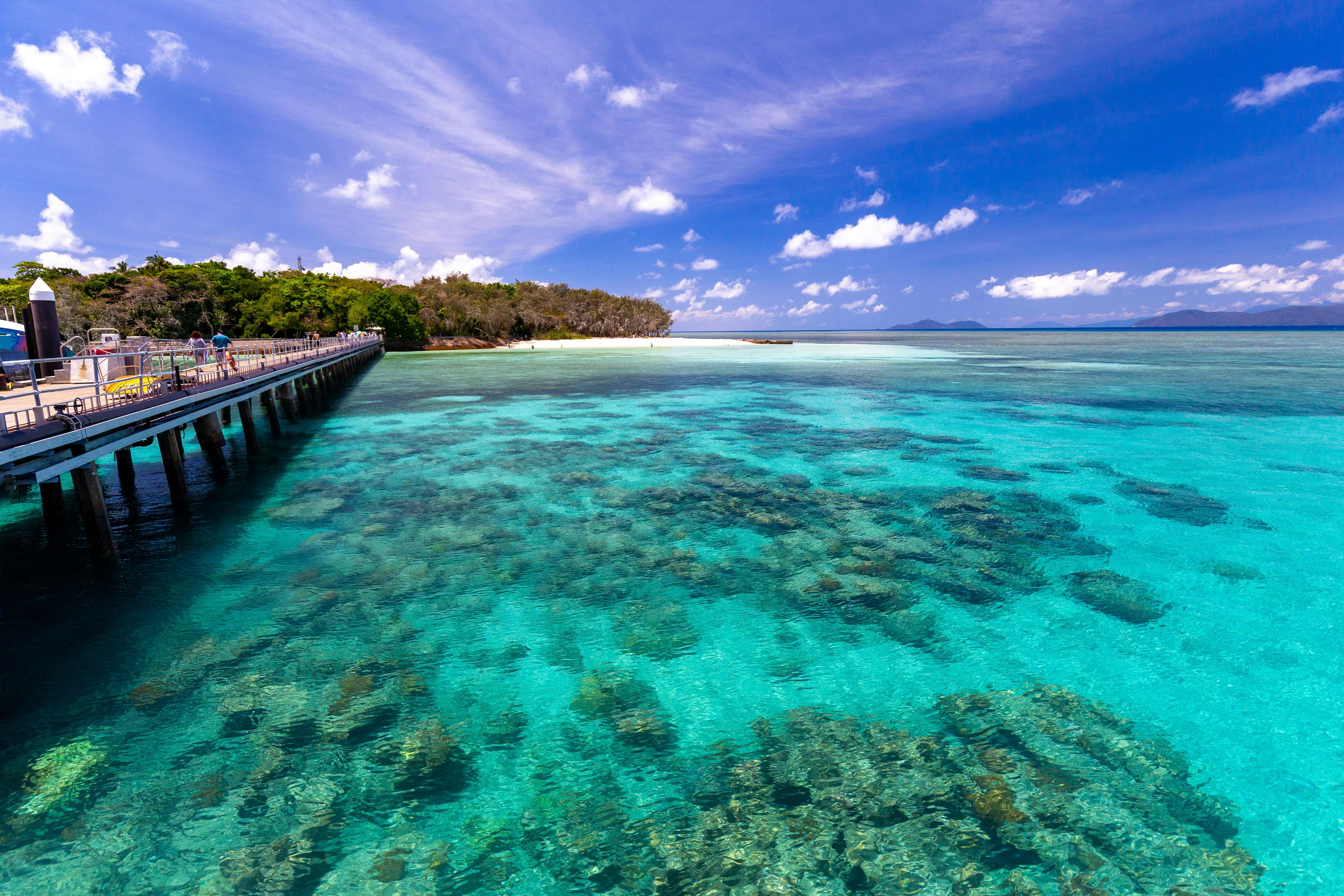 Green Island corals and jetty