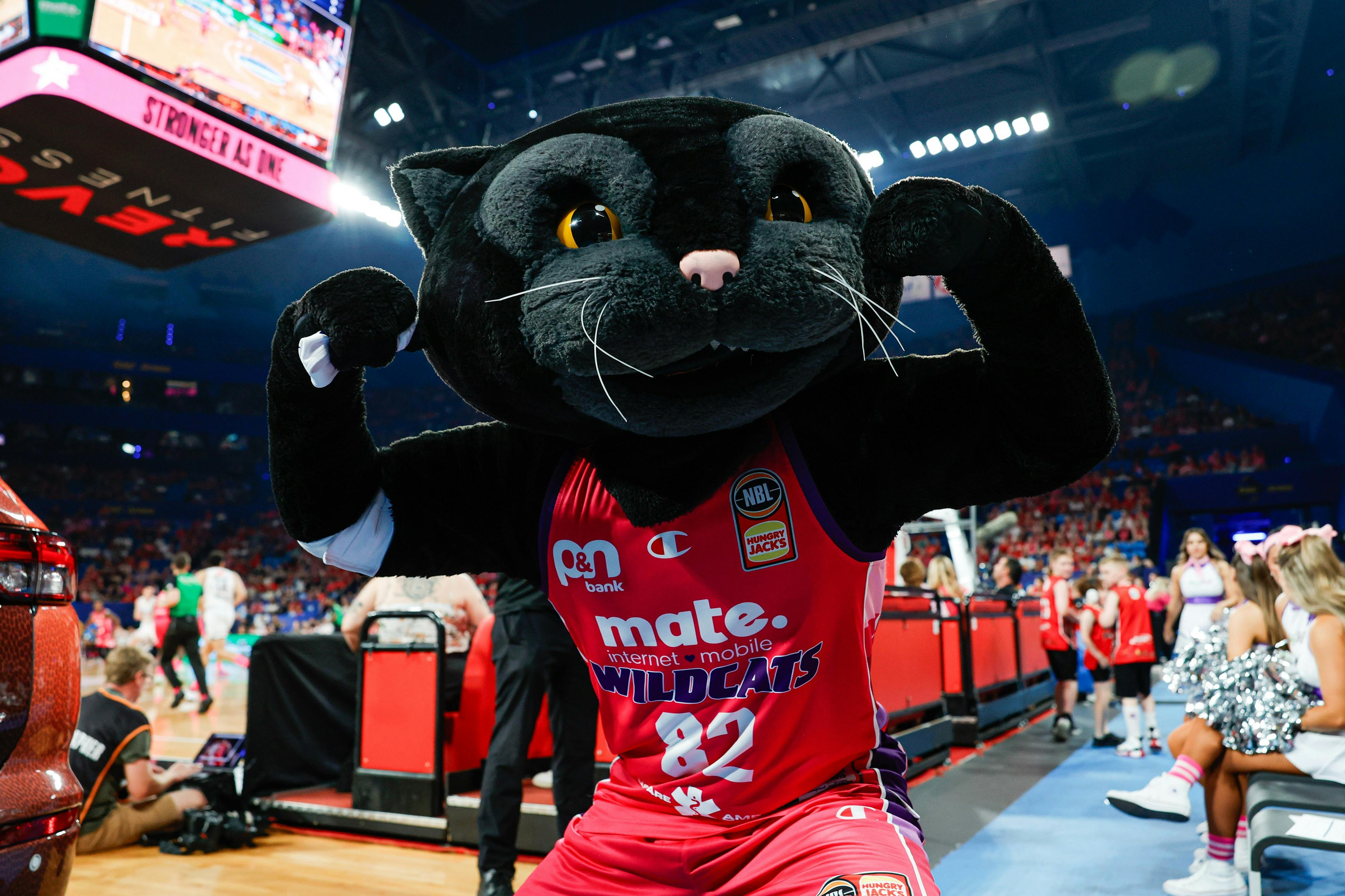 Perth Wildcats v South East Melbourne Phoenix- Pink Game for BCCWA