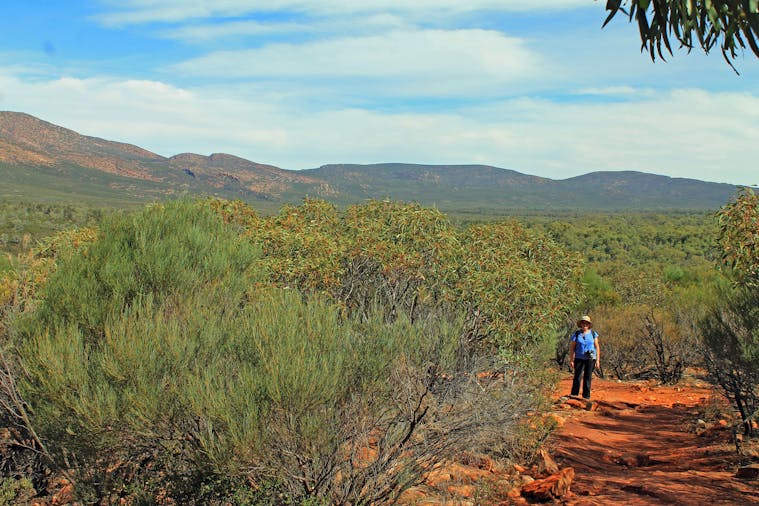 3 Day Flinders Ranges scheduled Tour