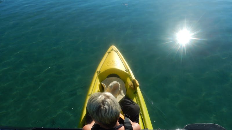 Glass-Bottom Kayak Tour