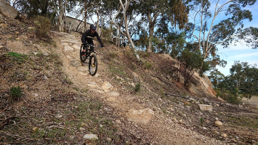 Mountain Bike Technique Development for Women