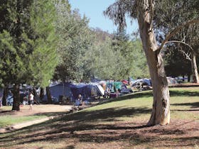 Cotter Campground