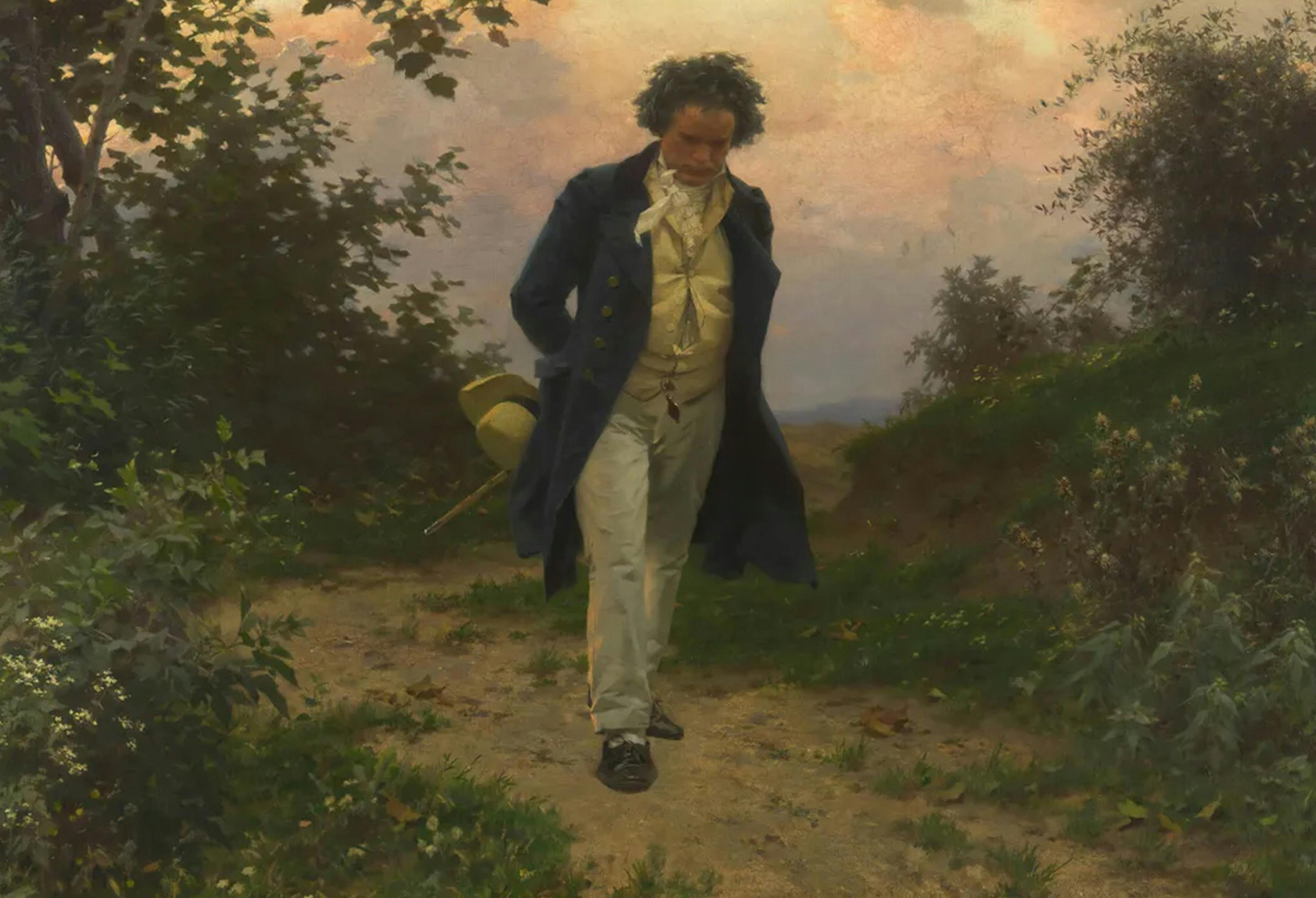 Geelong Symphony Orchestra - Beethoven and The Enchanted Flute