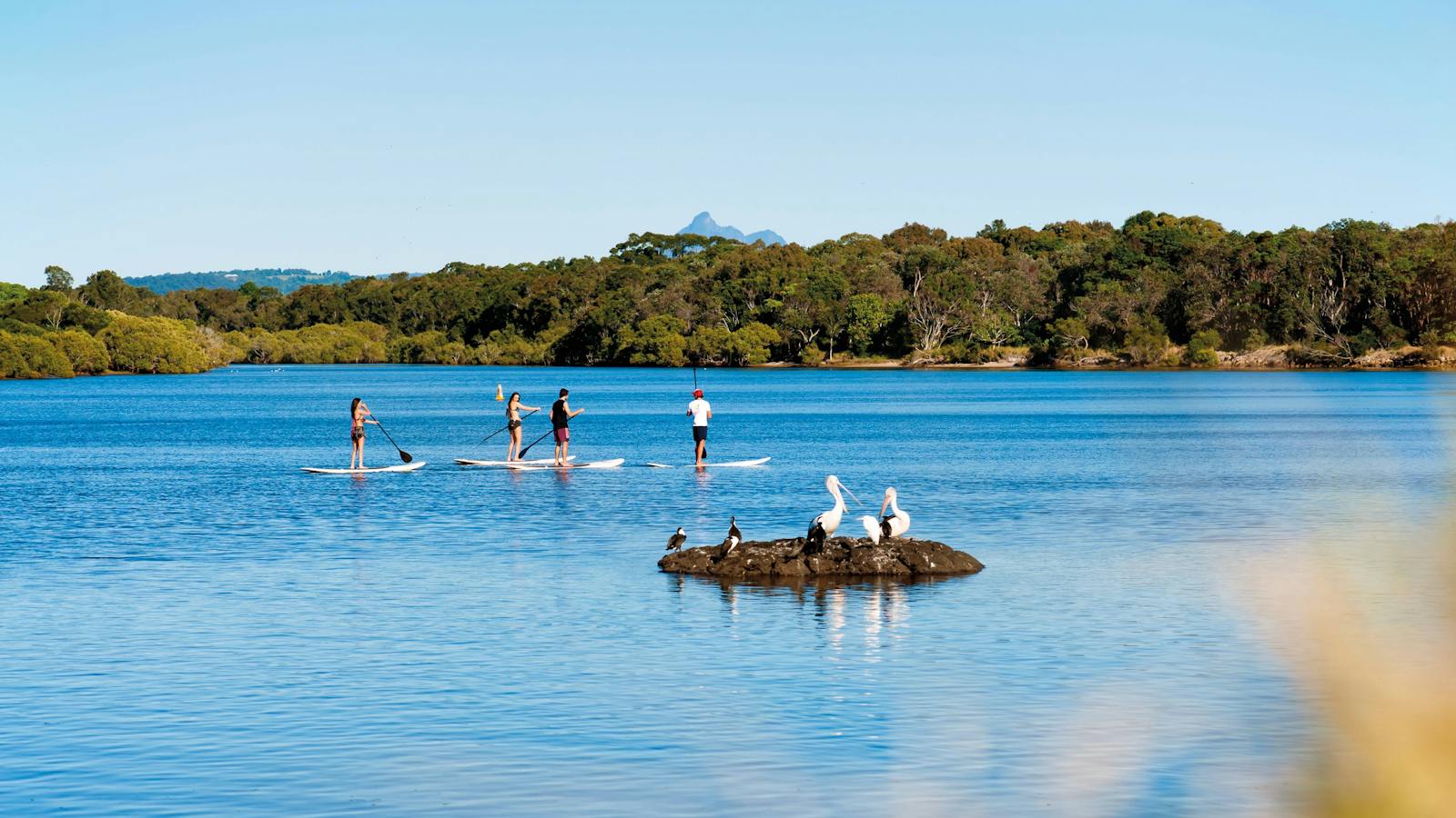 sup and mt warning