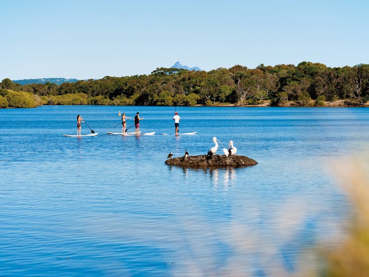 sup and mt warning