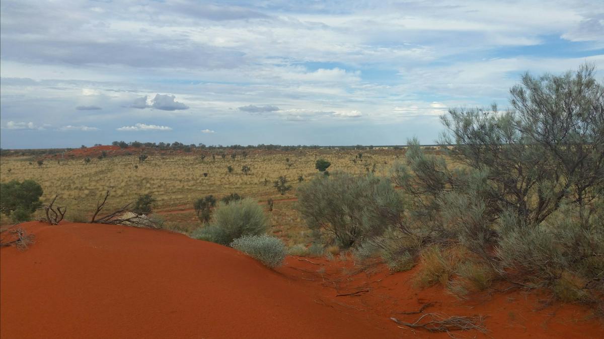 Windorah Sand Hills | Attractions | Queensland