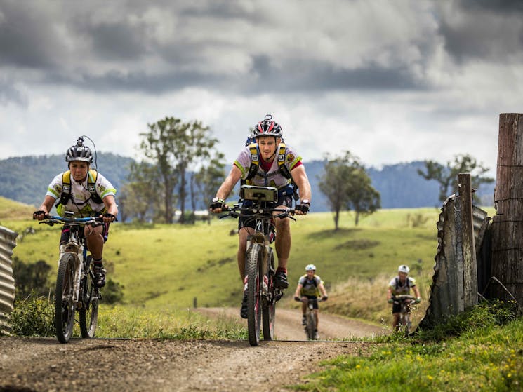 Four cyclists riding on farmland