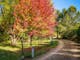 Large gardens with lots of deciduous trees