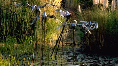 Commonwealth Park pond sculptures
