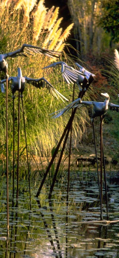 Commonwealth Park pond sculptures