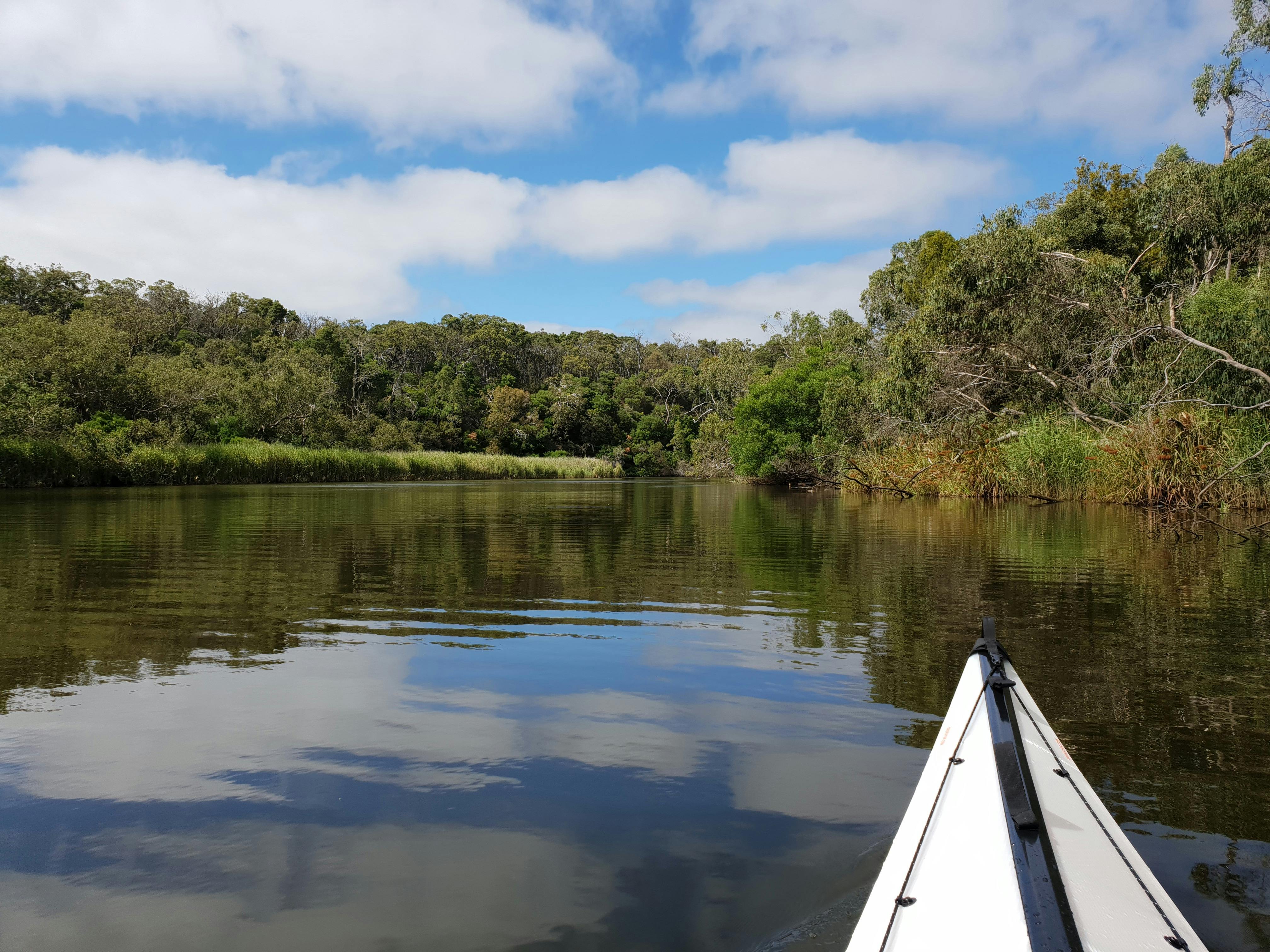 Kayaking on Glenelg River