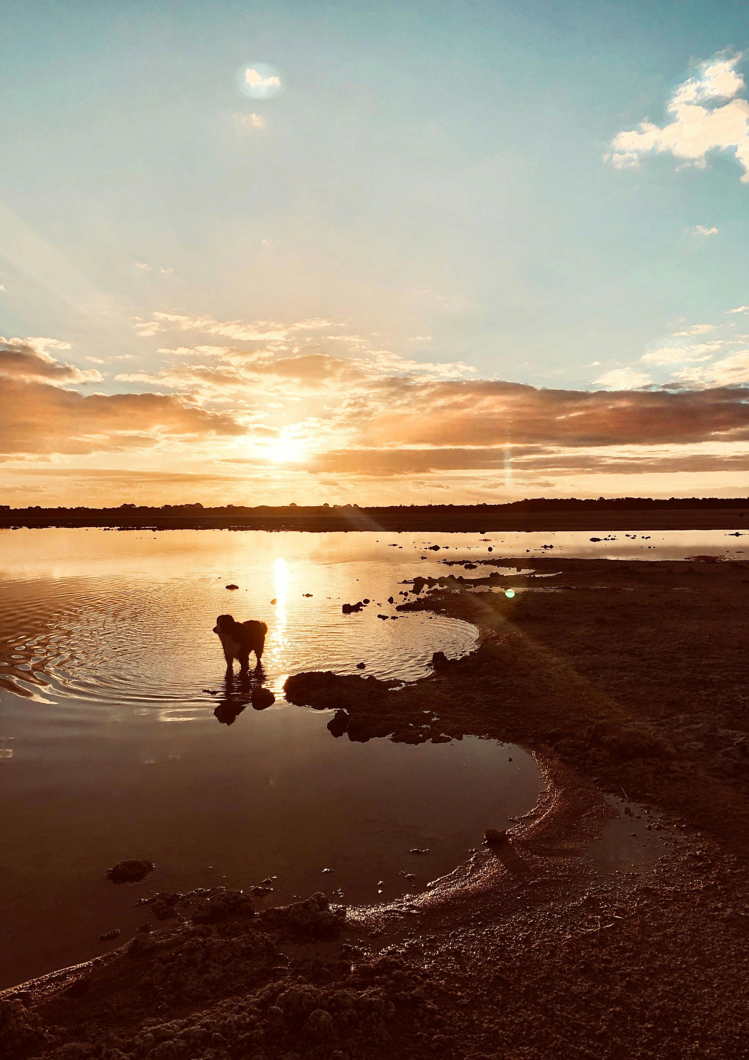 Lake Walyungup