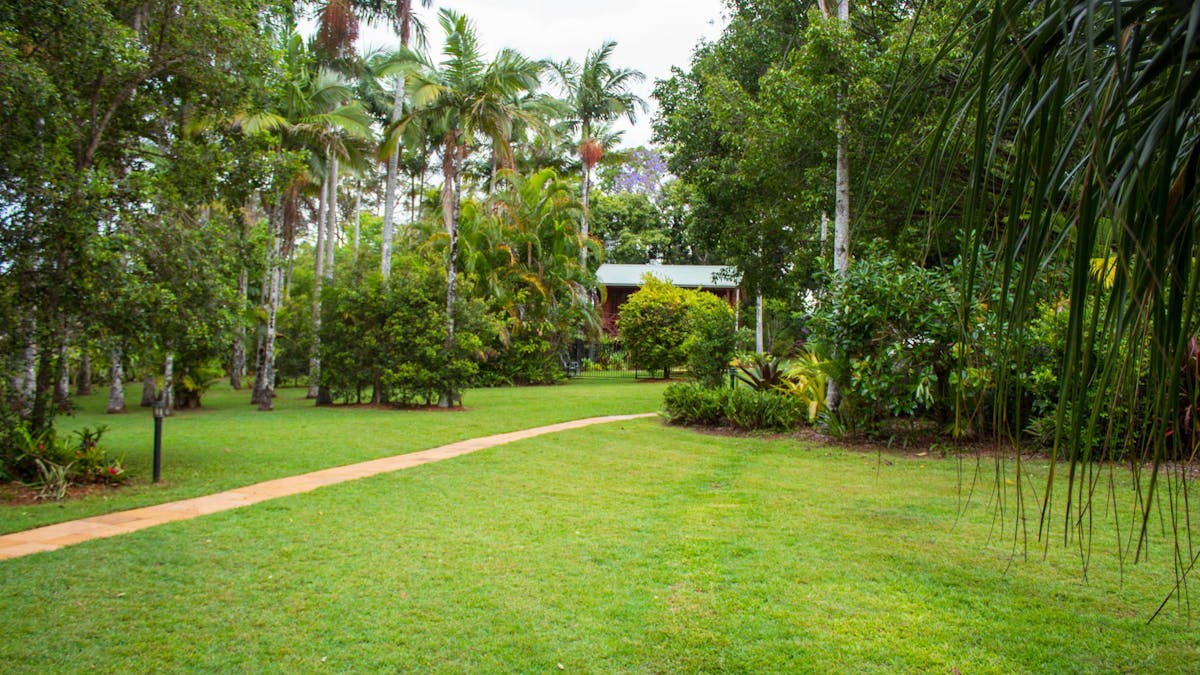 garden
