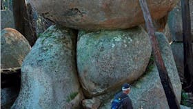 Gulaga Mountain Walk