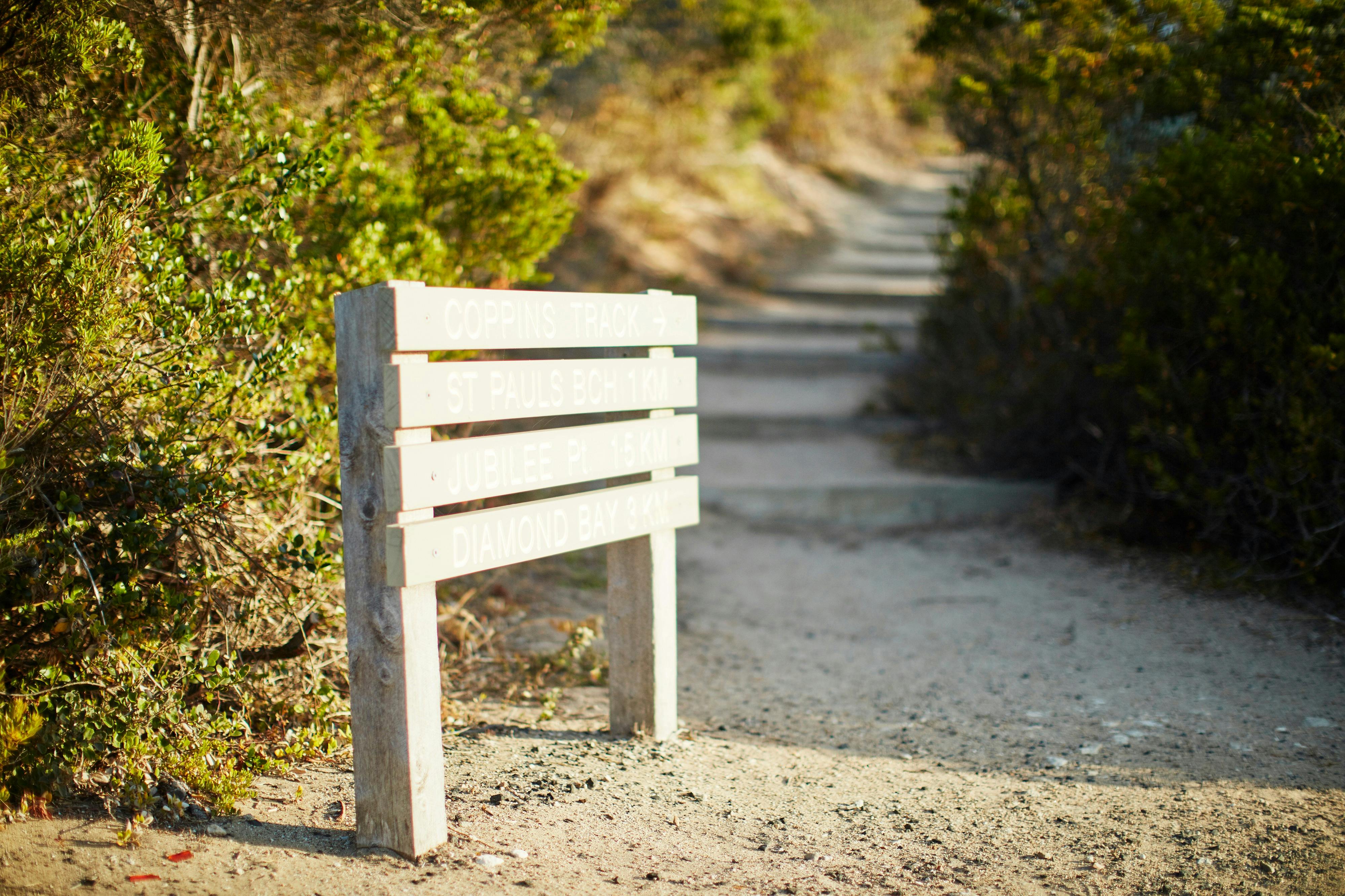 Coppins Walk Track, Sorrento, part of The Coastal Walk